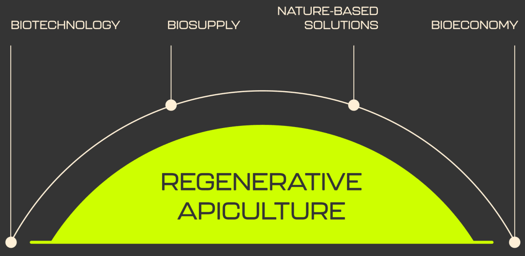Regeneração de Biomas